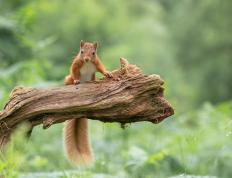 开云体育中国-当北京铁壁缠住迈阿密烈焰，利拉德用一秒钟撕碎时空