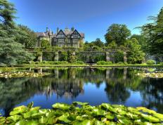 开云体育下载-库里降临CBA？辽宁雷霆晋级背后的关键先生之谜