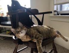 开云下载-极速与王朝，当F1引擎在巴林咆哮，老鹰的羽翼遮蔽了圣安东尼奥的天空