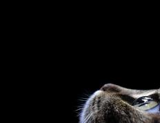 开云官网-福登教科书级表演，毕尔巴鄂对决威尔士成经典