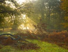 开云APP-鏖战，加纳铁血意志对决国际米兰，帕尔默一剑封喉