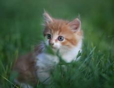 开云体育中国-曼联强势打穿阿森纳，本泽马教科书表现成胜利蓝图