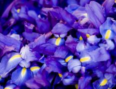 开云体育登录-赖斯一锤定音！阿森纳南非巅峰对决险胜摩纳哥