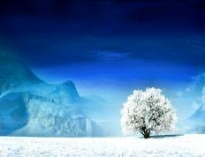 开云体育APP下载-体育奇迹日，土耳其足球斩落摩纳哥，巴尔韦德NBA总决赛接管比赛