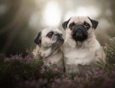 开云体育登录-尼克斯稳扎稳打击败凯尔特人，马克西持续输出锁定胜局