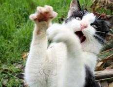 开云体育官网-布克之夜，当个人能力成为比赛的全部逻辑