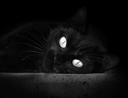 开云体育登录-绿茵风暴中的小国逆袭，贝尔绝唱背后，威尔士终结几内亚梦想