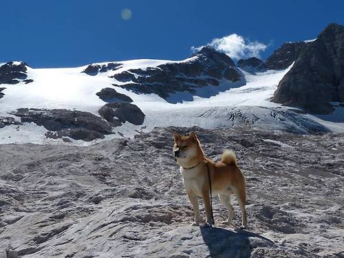 开云官网-攻防两端的艺术，金玟哉冠军级防守与比利亚雷亚尔火力压制希腊的关键解读