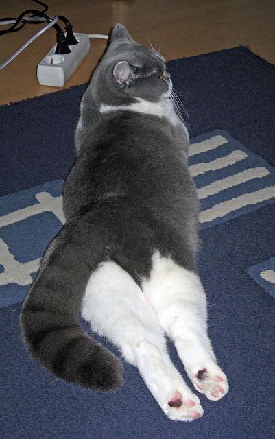 开云体育登录-文班亚马教科书式攻防闪耀全场，马刺加时逆转热火诠释未来可期