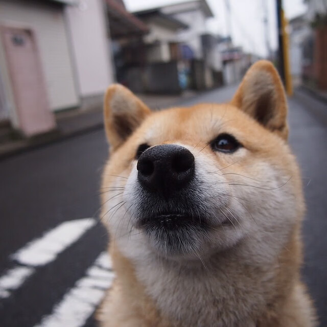 开云体育-东契奇连珠炮击溃防线,莫兰特加时赛一锤定音