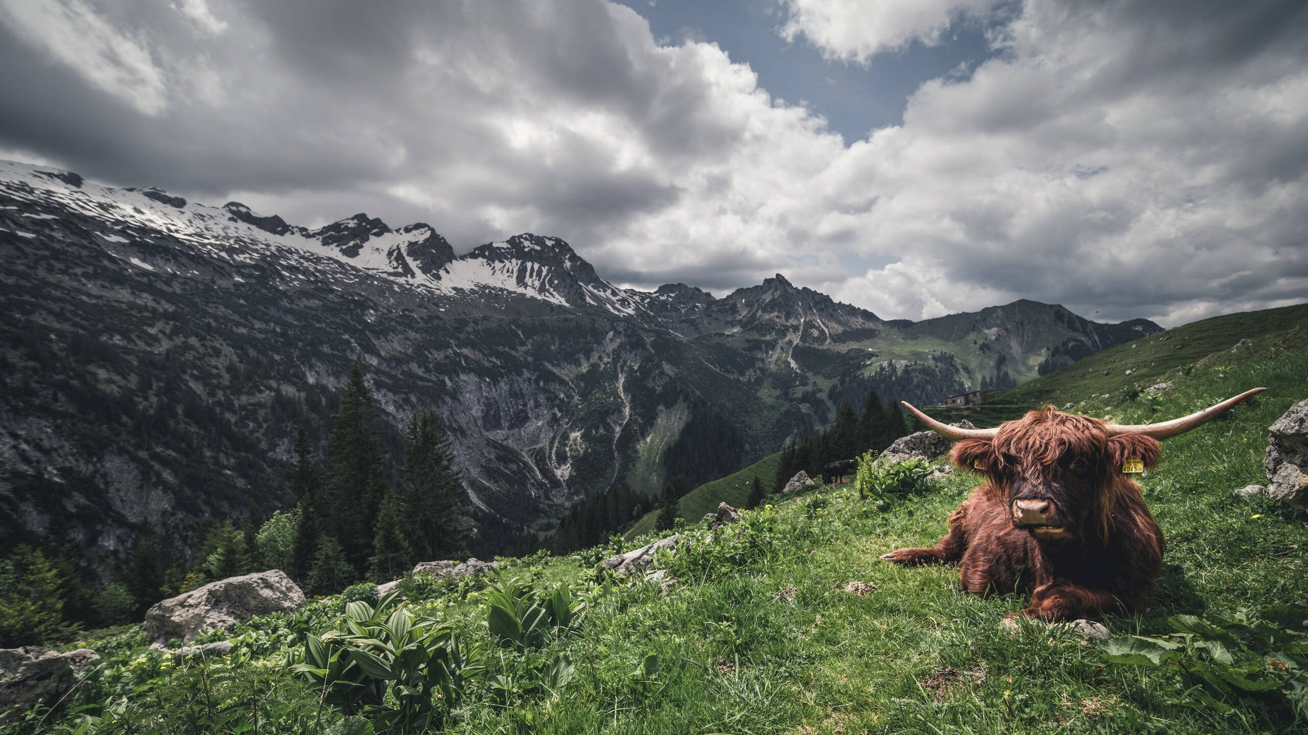 开云体育中国-当独败给众，镜中照出未来，从浙江队的胜利到欧文的世界杯预言