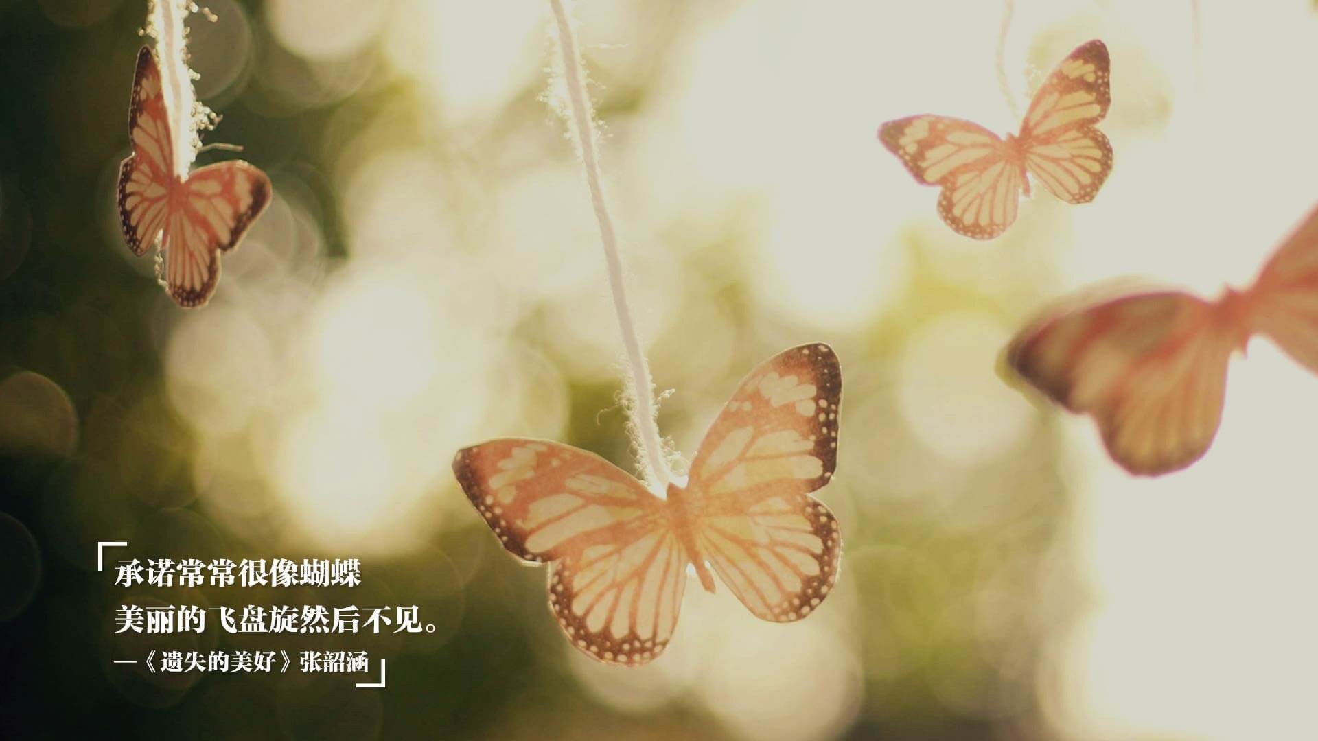 开云体育下载-哥斯达黎加争冠战逆袭比利时,赖斯连击得分锁定胜局