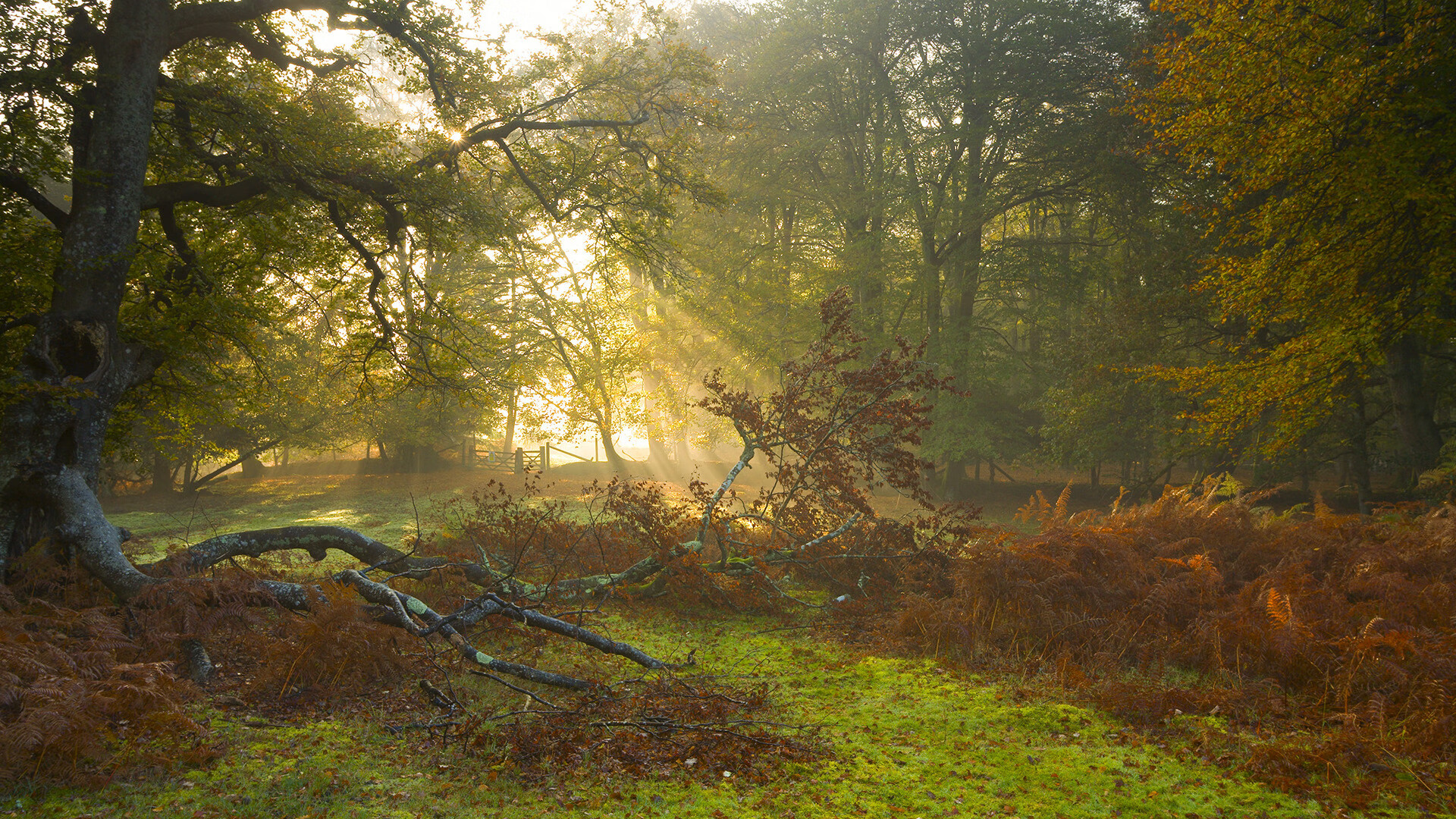 开云APP-鏖战，加纳铁血意志对决国际米兰，帕尔默一剑封喉