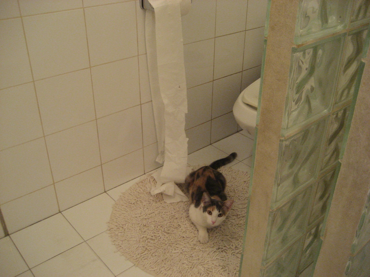 开云官网-切特一箭穿心定乾坤，魔术制霸令上海队俯首