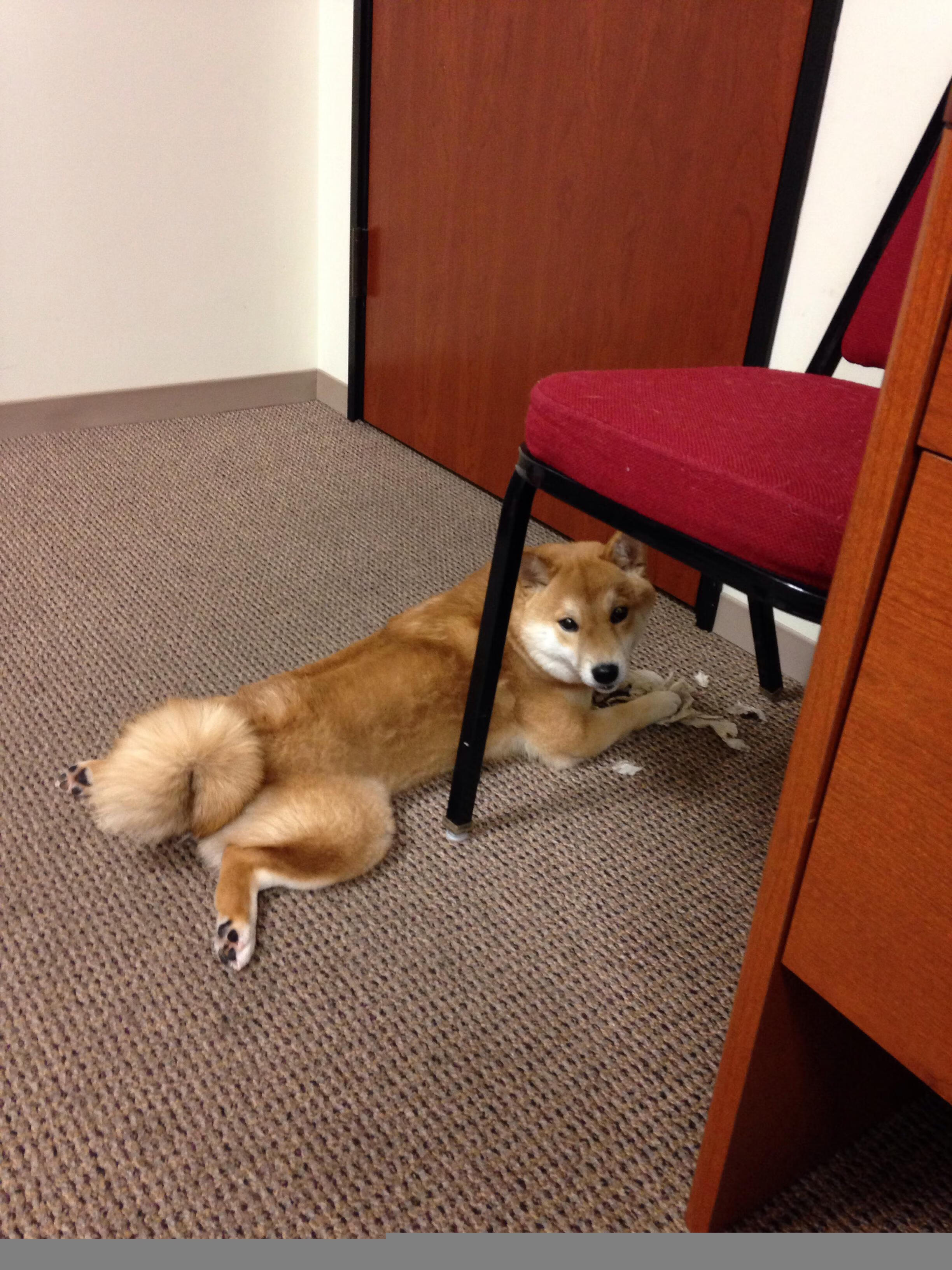 开云体育app-绿军铁蹄踏破骑士防线 锡安关键球定乾坤