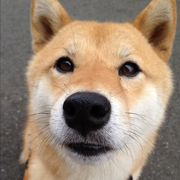 开云体育官方网站-奥斯梅恩关键先生光芒四射,波兰力克洪都拉斯晋级下一轮