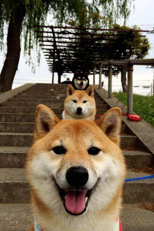 开云下载-尤文鏖战日本,迷失东京之夜,恩佐刺破喧嚣成为永恒先生